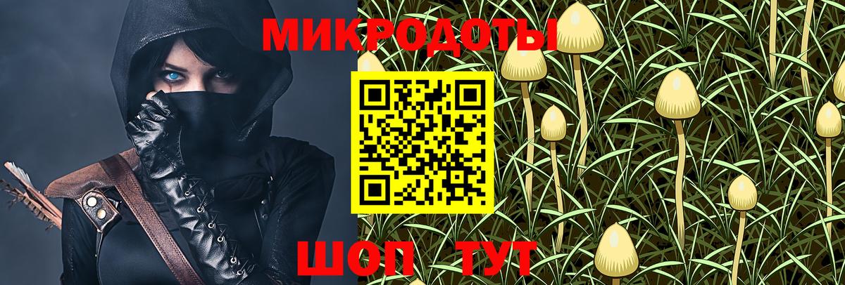 Псилоцибиновые грибы ЛСД  где можно купить   Псилоцибиновые грибы GOLDEN TEACHER  Новочебоксарск  Вход с VPN 